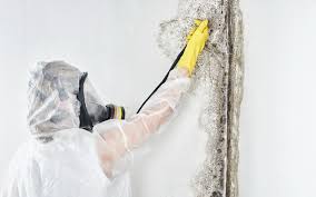 Best Residential Mold Inspection & Testing  in Howard, WI